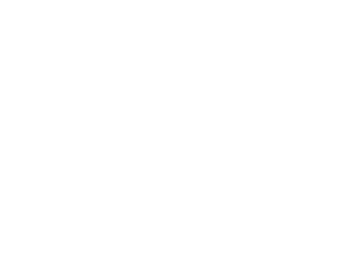 TECES FR Logo en blanco